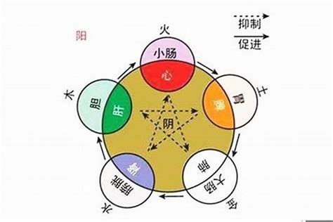 龍字五行|龍字五行属什么